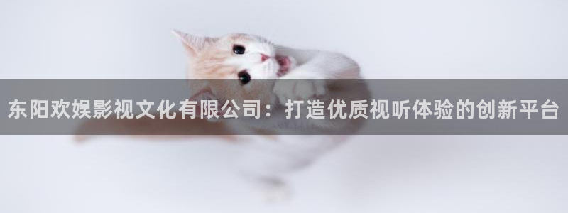 爱丫爱丫兄妹在线影院电视剧在线观看：东阳欢娱影视文化有限公司：打造优质视听体验的创新平台