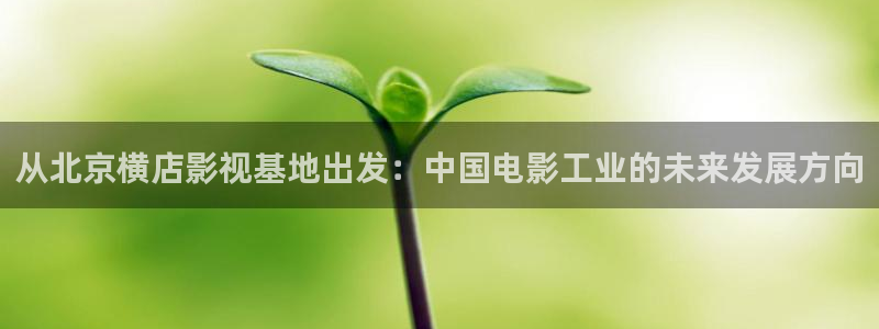 爱丫爱丫成全免费高清电视剧动漫：从北京横店影视基地出发：中国电影工业的未来发展方向