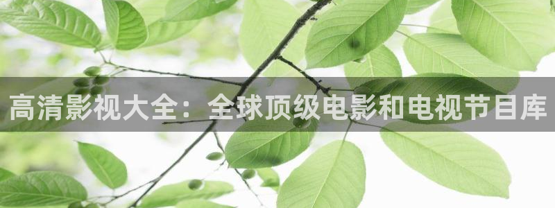 爱丫爱丫电视剧全集：高清影视大全：全球顶级电影和电视节目库