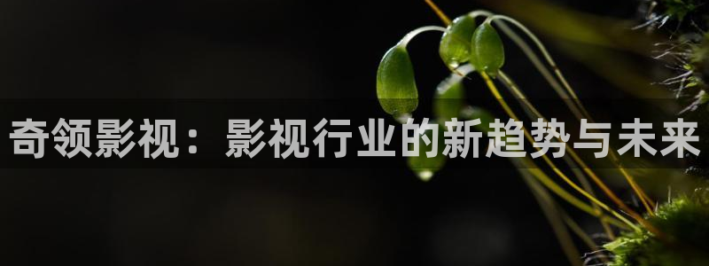 爱丫爱丫1至46集电视剧免费播放：奇领影视：影视行业的新趋势与未来