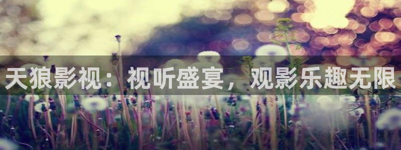 爱丫爱丫影院电视剧免费：天狼影视：视听盛宴，观影乐趣无限