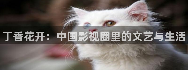 爱丫爱丫电影免费观看电视剧：丁香花开：中国影视圈里的文艺与生活