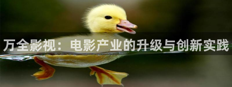 爱丫爱丫高清电视剧在线播放：万全影视：电影产业的升级与创新实践