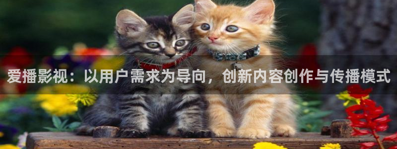 爱丫爱丫在线影院电影电视剧