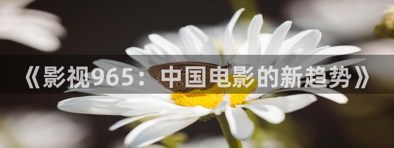 爱丫爱丫影院电视剧网：《影视965：中国电影的新趋势》