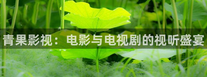 爱丫爱丫电影免费观看影视大全：青果影视：电影与电视剧的视听盛宴